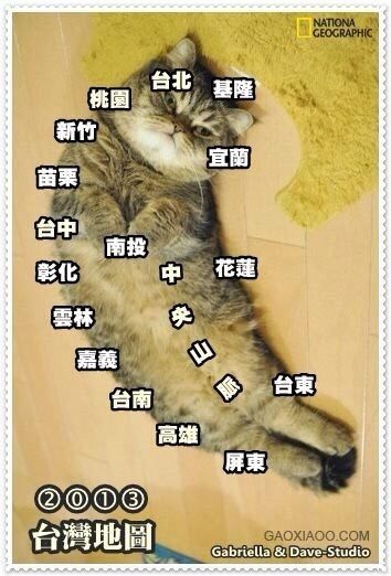 taiwankar