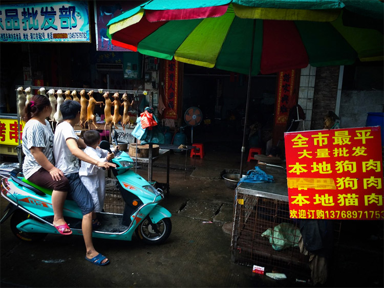 yulin03