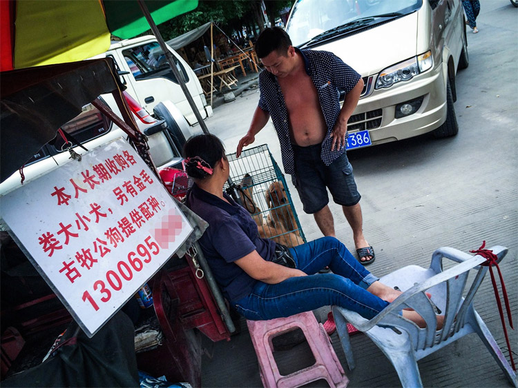 yulin10